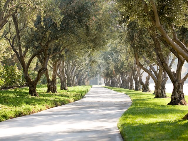 Northpark Square homes in Irvine, California