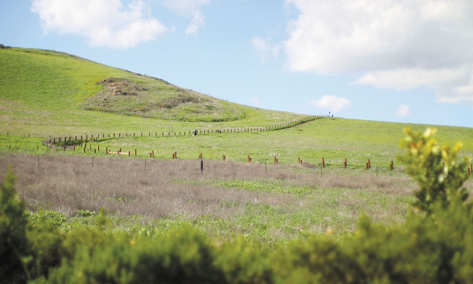Quail Hill homes in Irvine, California