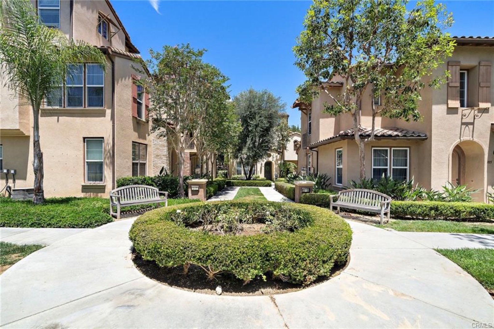 101 Tall Oak photo 3